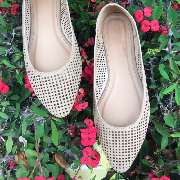 New Classic Ballet Flat last one size 8 - Picture 6 of 6